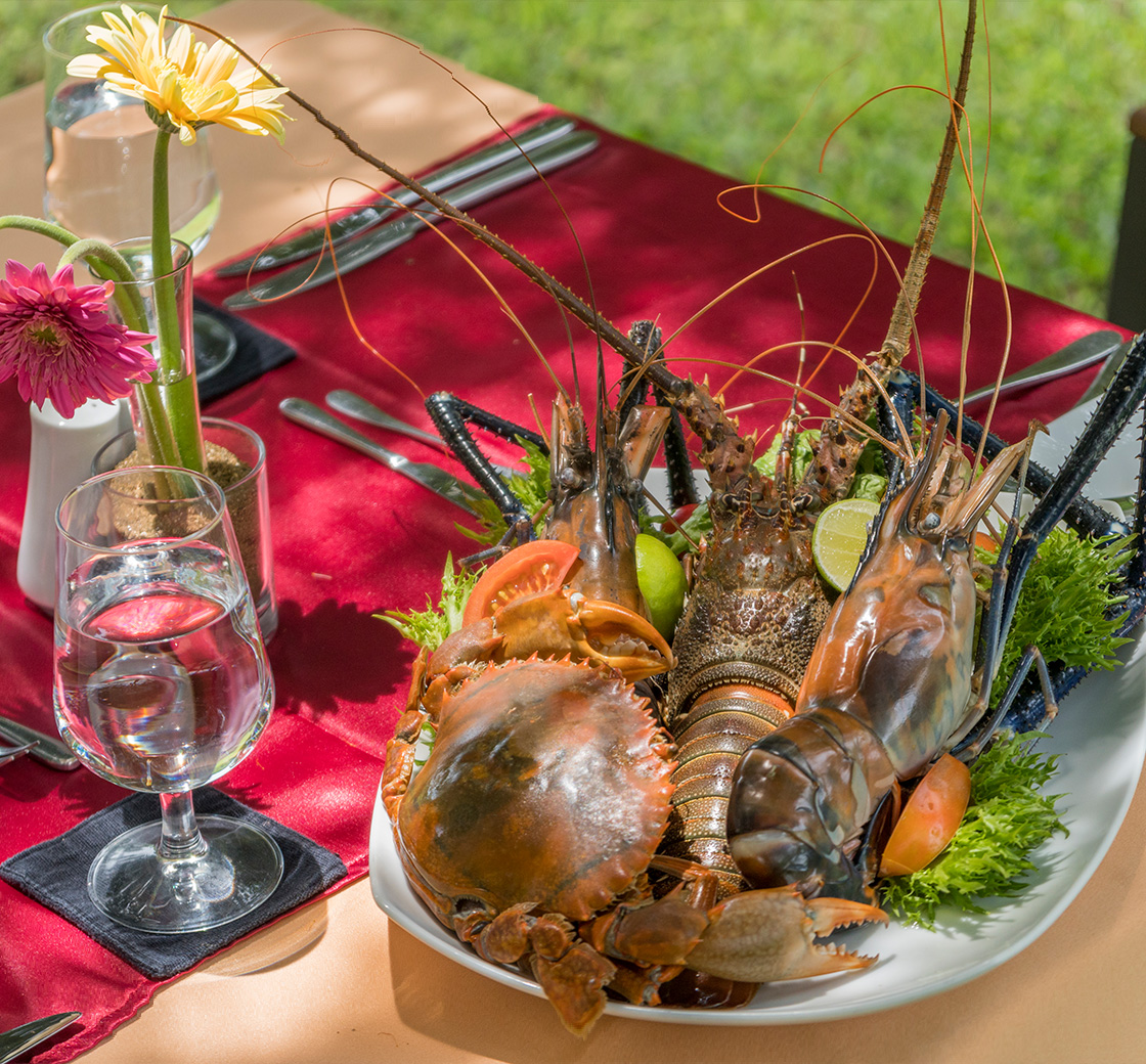 Locally  sourced Crabs, Lobsters and King Prawns